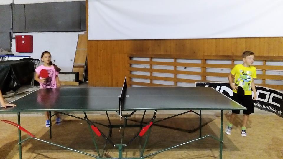 stolnytenis